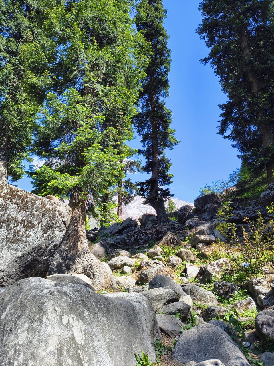 Alpine lake Himalaya